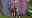 Tori and Tia in a field in front of a big grey backdrop with the TCS logo on and the words 'finisher' in blue on one side and red on the other side